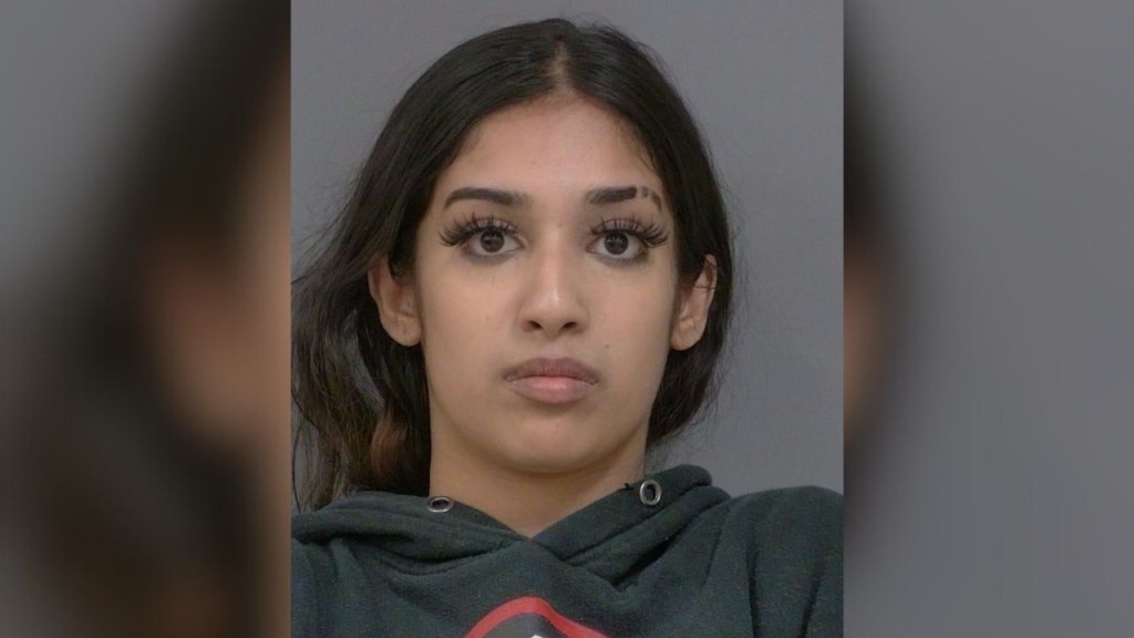 18-Year-Old Woman Arrested After Brazen Porsche Theft Captured on&nbsp;Video